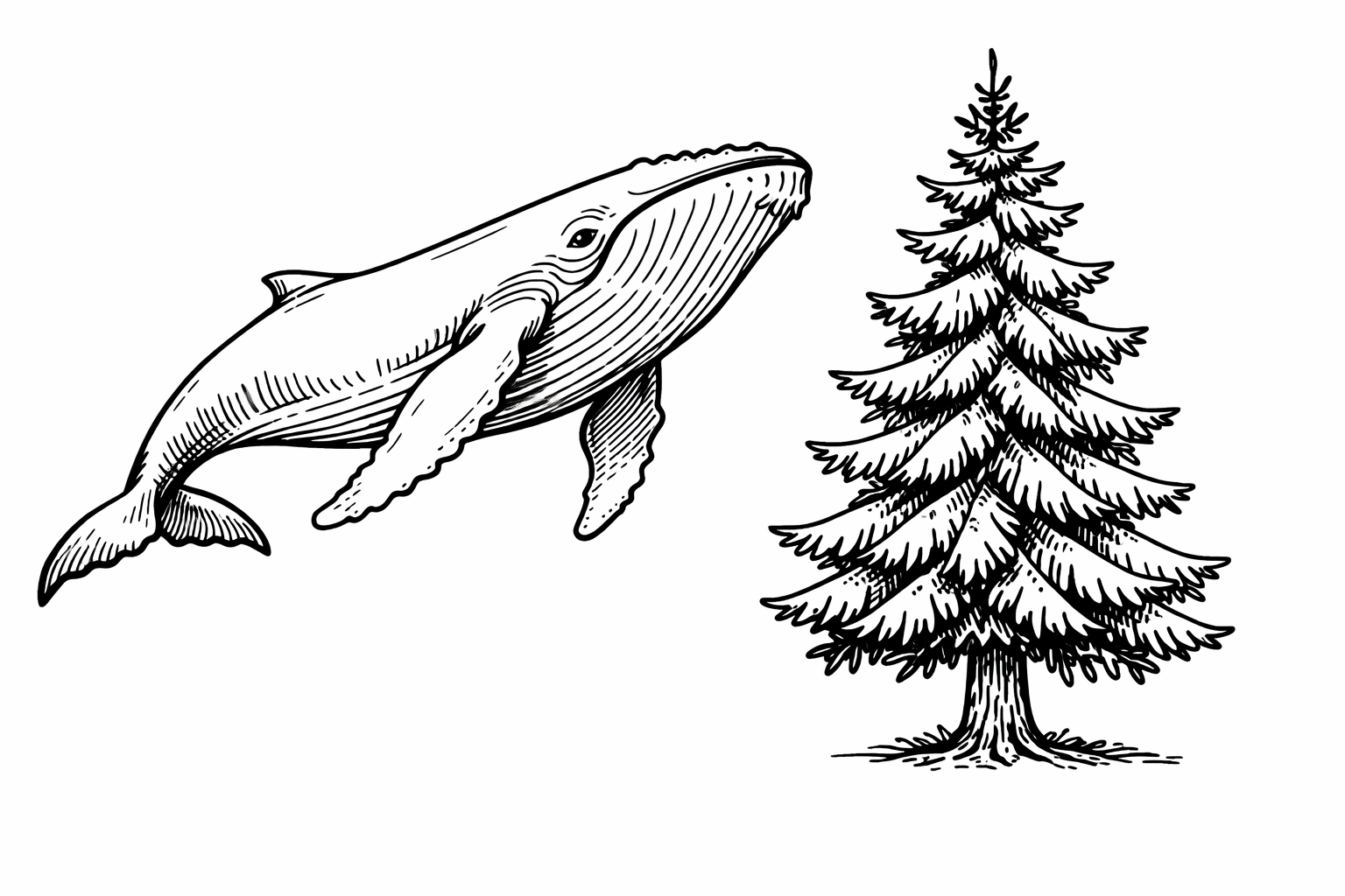 Часть 1. Рисунки