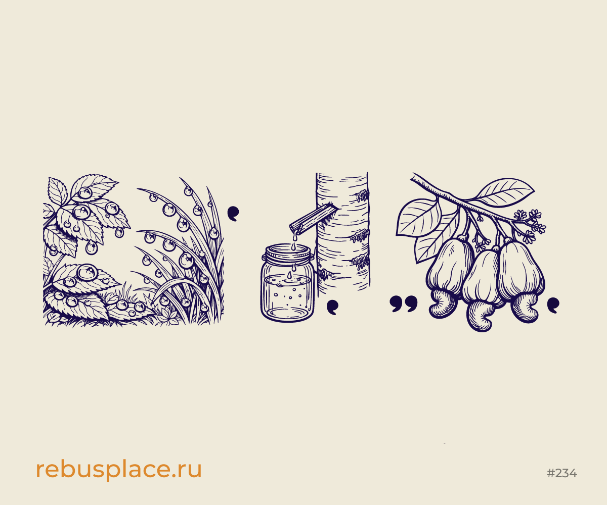 Ребус: Играем в города (XIV)