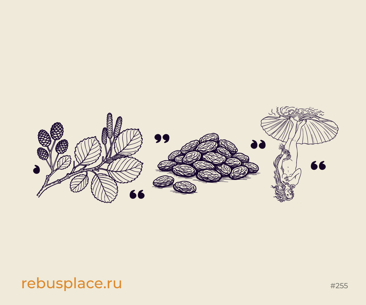 Ребус: Запасики
